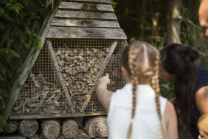 Wanderwege mit Naturerlebnisstationen